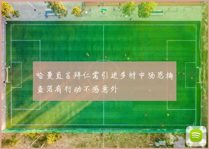 哈曼直言拜仁需引进多特中场恩梅查若有行动不感意外